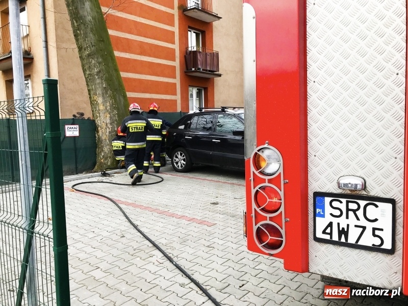 Zdjęcie w galerii na portalu naszraciborz.pl: Pożar drzewa na Placu Dworcowym w Raciborzu. Prawdopodobnie ktoś je podpalił wiadomości z regionu