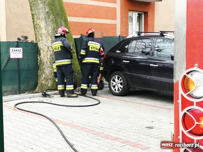 Zdjęcie w galerii na portalu naszraciborz.pl: Pożar drzewa na Placu Dworcowym w Raciborzu. Prawdopodobnie ktoś je podpalił wiadomości z regionu