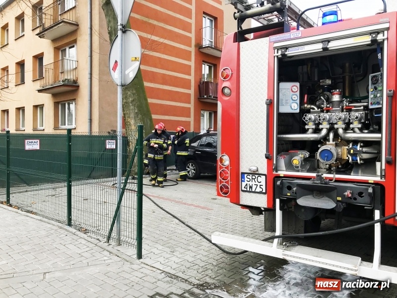 Zdjęcie w galerii na portalu naszraciborz.pl: Pożar drzewa na Placu Dworcowym w Raciborzu. Prawdopodobnie ktoś je podpalił wiadomości z regionu
