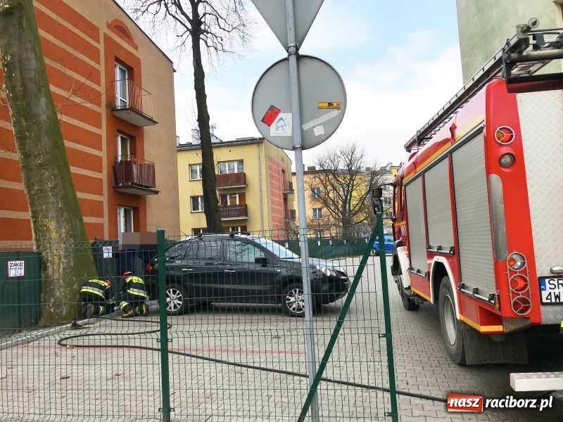 Zdjęcie w galerii na portalu naszraciborz.pl: Pożar drzewa na Placu Dworcowym w Raciborzu. Prawdopodobnie ktoś je podpalił wiadomości z regionu