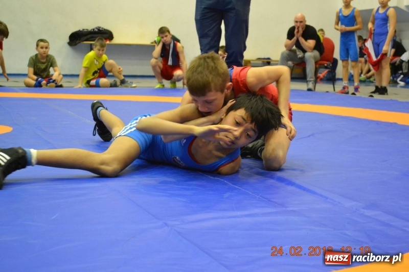 Zdjęcie w galerii na portalu naszraciborz.pl: Sukcesy raciborskich zapaśników na Mistrzostwach Śląska Młodzików i Pucharze Śląska Dzieci wiadomości z regionu