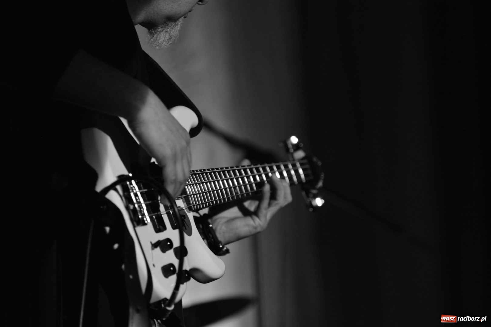 Zdjęcie w galerii na portalu naszraciborz.pl: RoCK UP! Wyklętym. FOTO z koncertu  wiadomości z regionu