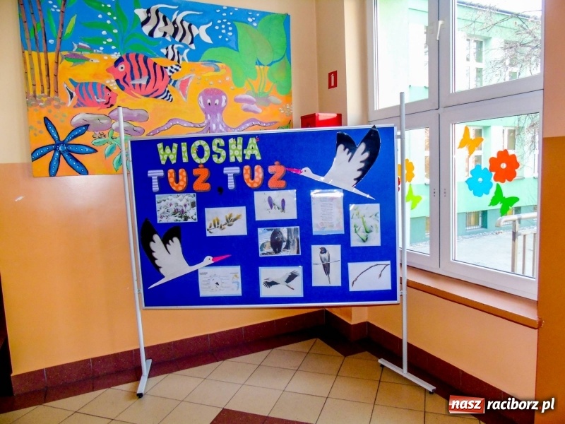 Zdjęcie w galerii na portalu naszraciborz.pl: Dzień otwarty w SP13  wiadomości z regionu