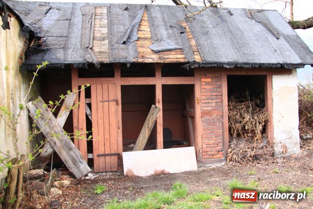 Zdjęcie w galerii na portalu naszraciborz.pl: Po ulicy Hetmańskiej biegają szczury wiadomości z regionu