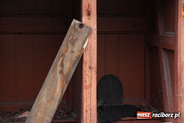 Zdjęcie w galerii na portalu naszraciborz.pl: Po ulicy Hetmańskiej biegają szczury wiadomości z regionu