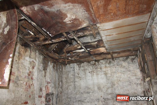 Zdjęcie w galerii na portalu naszraciborz.pl: Po ulicy Hetmańskiej biegają szczury wiadomości z regionu