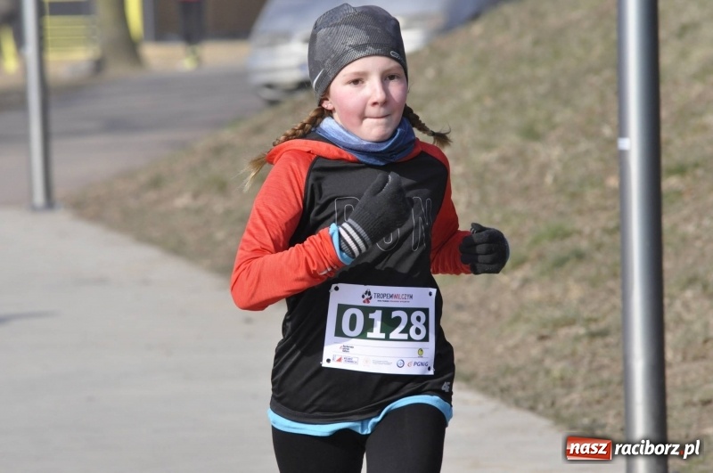 Zdjęcie w galerii na portalu naszraciborz.pl: Tropem Wilczym. Bieg Pamięci Żołnierzy Wyklętych w Raciborzu  wiadomości z regionu