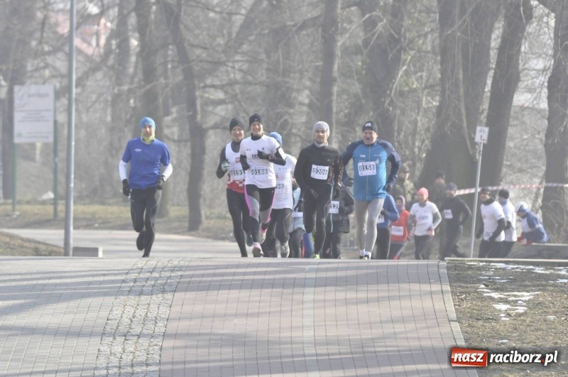 Zdjęcie w galerii na portalu naszraciborz.pl: Tropem Wilczym. Bieg Pamięci Żołnierzy Wyklętych w Raciborzu  wiadomości z regionu