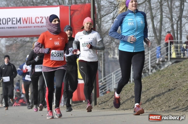 Zdjęcie w galerii na portalu naszraciborz.pl: Tropem Wilczym. Bieg Pamięci Żołnierzy Wyklętych w Raciborzu  wiadomości z regionu