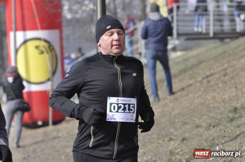 Zdjęcie w galerii na portalu naszraciborz.pl: Tropem Wilczym. Bieg Pamięci Żołnierzy Wyklętych w Raciborzu  wiadomości z regionu