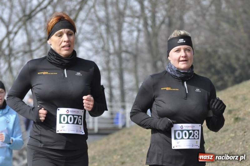 Zdjęcie w galerii na portalu naszraciborz.pl: Tropem Wilczym. Bieg Pamięci Żołnierzy Wyklętych w Raciborzu  wiadomości z regionu