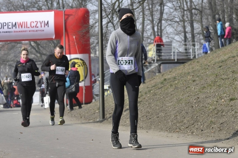 Zdjęcie w galerii na portalu naszraciborz.pl: Tropem Wilczym. Bieg Pamięci Żołnierzy Wyklętych w Raciborzu  wiadomości z regionu
