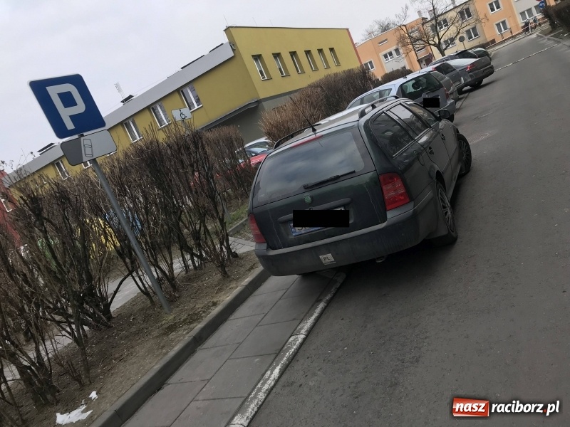 Zdjęcie w galerii na portalu naszraciborz.pl: Mistrzowie parkowania z rejestracją SRC  wiadomości z regionu