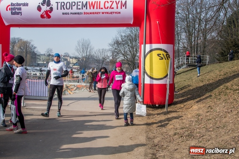 Zdjęcie w galerii na portalu naszraciborz.pl: Bieg wilczym tropem Racibórz 2018. FOTOREPORTAŻ  wiadomości z regionu