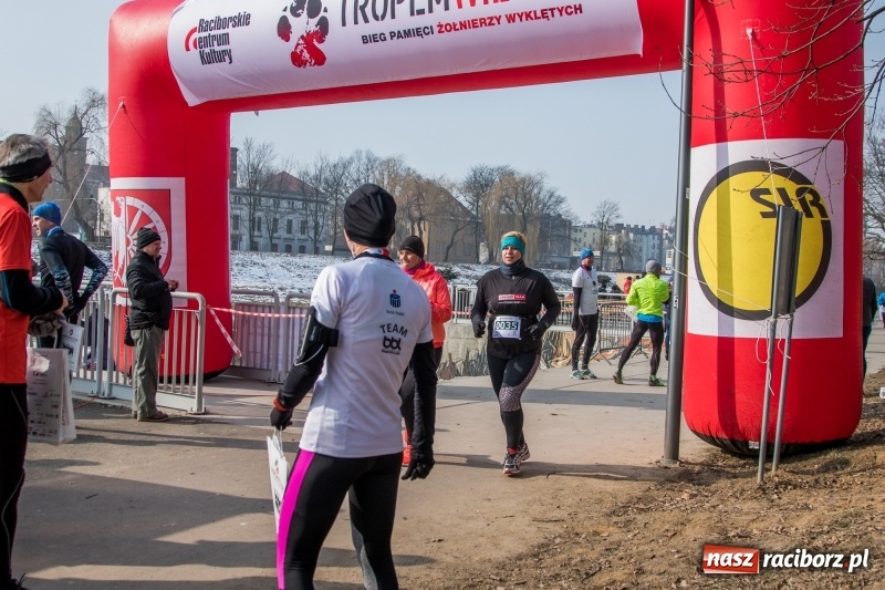 Zdjęcie w galerii na portalu naszraciborz.pl: Bieg wilczym tropem Racibórz 2018. FOTOREPORTAŻ  wiadomości z regionu
