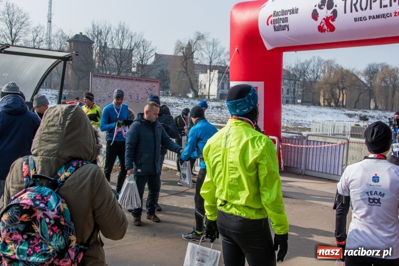 Zdjęcie w galerii na portalu naszraciborz.pl: Bieg wilczym tropem Racibórz 2018. FOTOREPORTAŻ  wiadomości z regionu