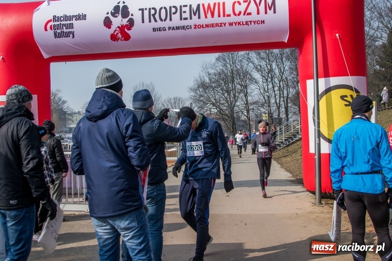 Zdjęcie w galerii na portalu naszraciborz.pl: Bieg wilczym tropem Racibórz 2018. FOTOREPORTAŻ  wiadomości z regionu