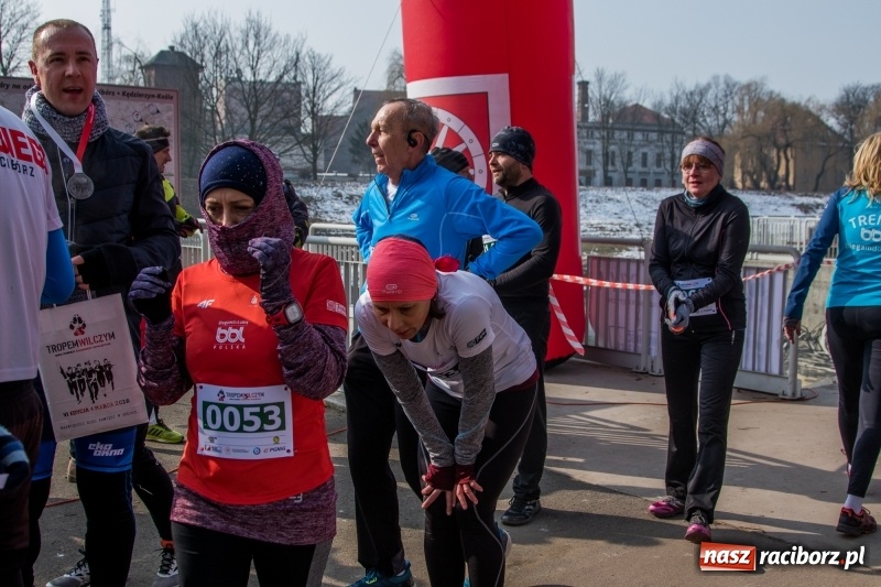 Zdjęcie w galerii na portalu naszraciborz.pl: Bieg wilczym tropem Racibórz 2018. FOTOREPORTAŻ  wiadomości z regionu