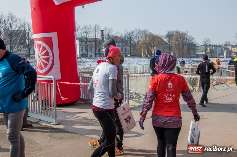Zdjęcie w galerii na portalu naszraciborz.pl: Bieg wilczym tropem Racibórz 2018. FOTOREPORTAŻ  wiadomości z regionu