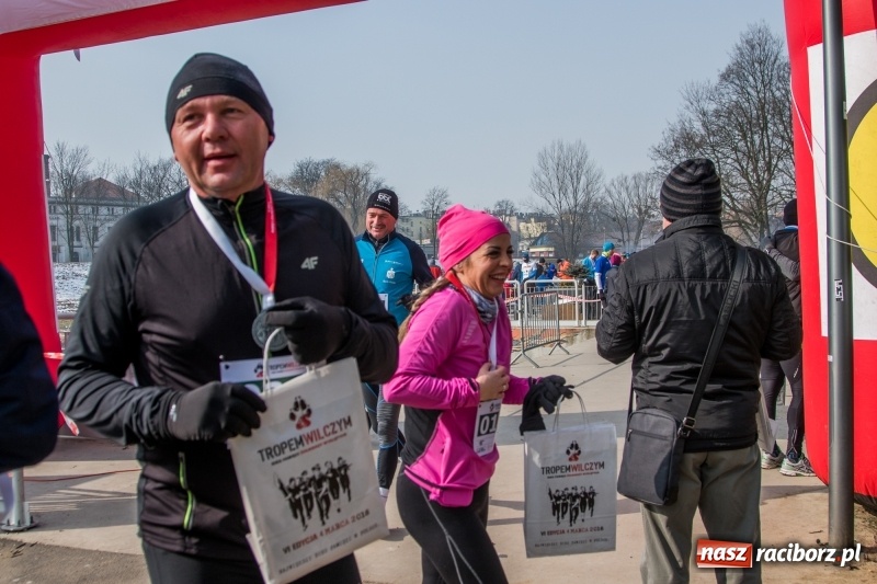 Zdjęcie w galerii na portalu naszraciborz.pl: Bieg wilczym tropem Racibórz 2018. FOTOREPORTAŻ  wiadomości z regionu