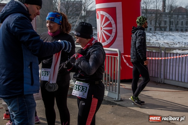 Zdjęcie w galerii na portalu naszraciborz.pl: Bieg wilczym tropem Racibórz 2018. FOTOREPORTAŻ  wiadomości z regionu
