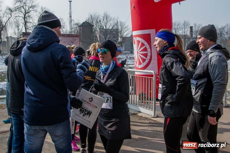 Zdjęcie w galerii na portalu naszraciborz.pl: Bieg wilczym tropem Racibórz 2018. FOTOREPORTAŻ  wiadomości z regionu
