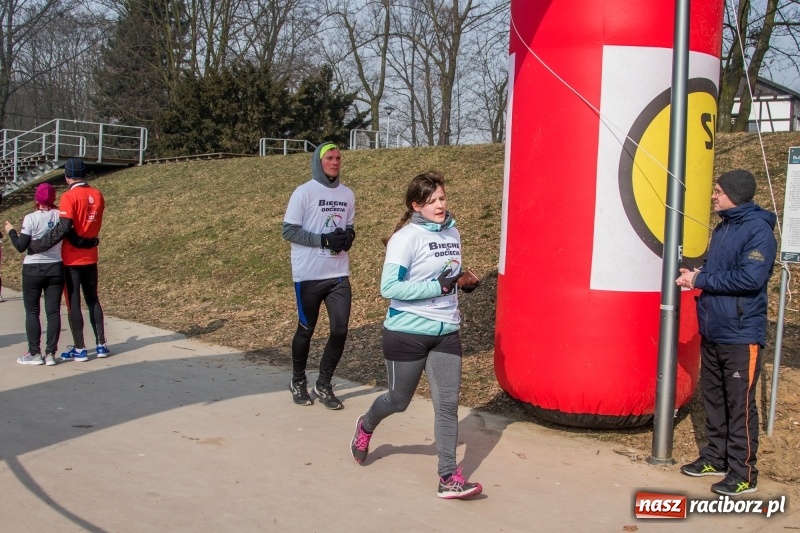 Zdjęcie w galerii na portalu naszraciborz.pl: Bieg wilczym tropem Racibórz 2018. FOTOREPORTAŻ  wiadomości z regionu