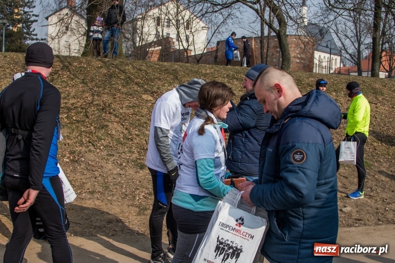 Zdjęcie w galerii na portalu naszraciborz.pl: Bieg wilczym tropem Racibórz 2018. FOTOREPORTAŻ  wiadomości z regionu