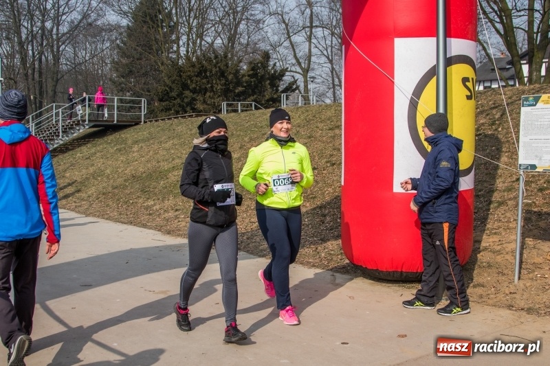 Zdjęcie w galerii na portalu naszraciborz.pl: Bieg wilczym tropem Racibórz 2018. FOTOREPORTAŻ  wiadomości z regionu
