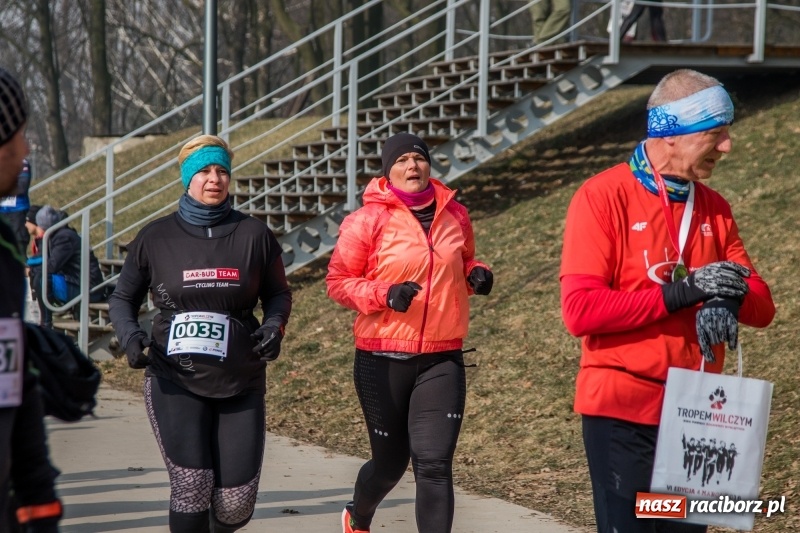 Zdjęcie w galerii na portalu naszraciborz.pl: Bieg wilczym tropem Racibórz 2018. FOTOREPORTAŻ  wiadomości z regionu