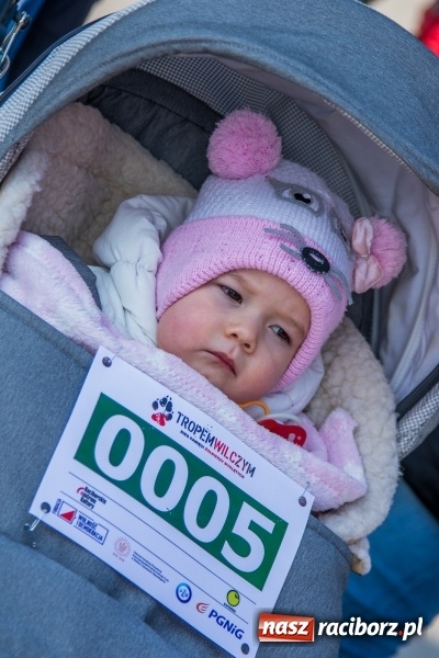 Zdjęcie w galerii na portalu naszraciborz.pl: Bieg wilczym tropem Racibórz 2018. FOTOREPORTAŻ  wiadomości z regionu