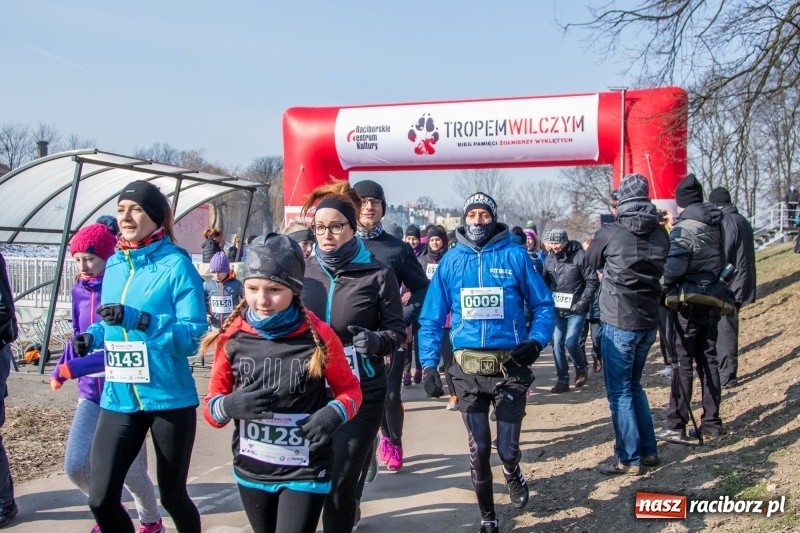 Zdjęcie w galerii na portalu naszraciborz.pl: Bieg wilczym tropem Racibórz 2018. FOTOREPORTAŻ  wiadomości z regionu