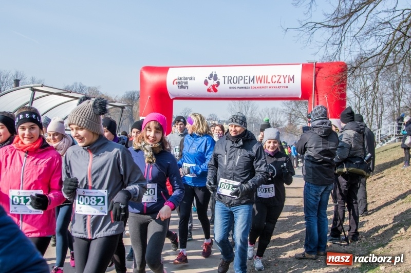 Zdjęcie w galerii na portalu naszraciborz.pl: Bieg wilczym tropem Racibórz 2018. FOTOREPORTAŻ  wiadomości z regionu