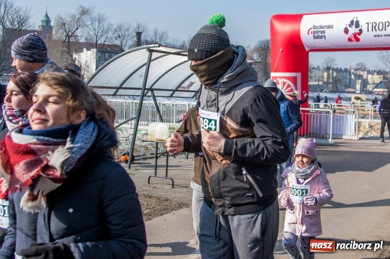 Zdjęcie w galerii na portalu naszraciborz.pl: Bieg wilczym tropem Racibórz 2018. FOTOREPORTAŻ  wiadomości z regionu