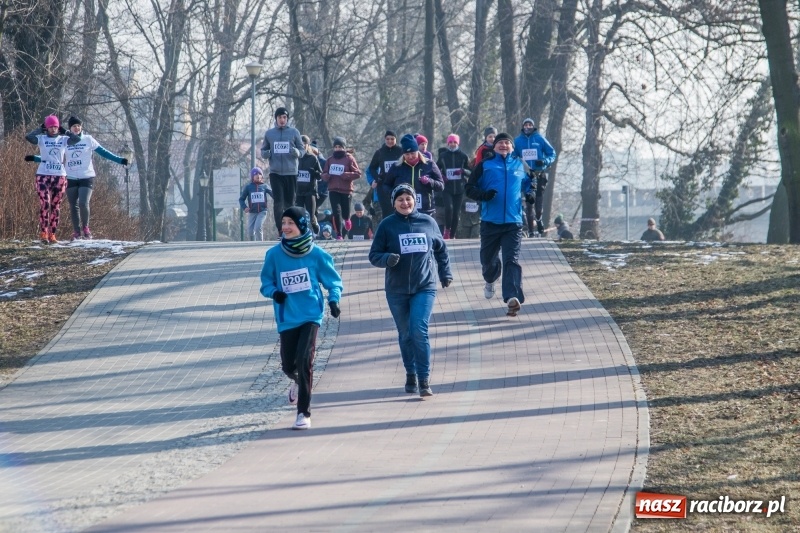 Zdjęcie w galerii na portalu naszraciborz.pl: Bieg wilczym tropem Racibórz 2018. FOTOREPORTAŻ  wiadomości z regionu