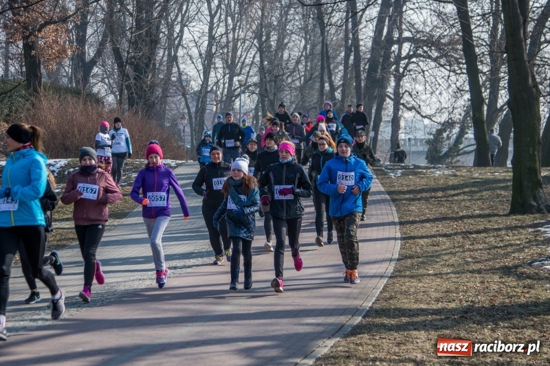 Zdjęcie w galerii na portalu naszraciborz.pl: Bieg wilczym tropem Racibórz 2018. FOTOREPORTAŻ  wiadomości z regionu