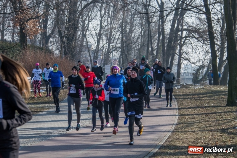 Zdjęcie w galerii na portalu naszraciborz.pl: Bieg wilczym tropem Racibórz 2018. FOTOREPORTAŻ  wiadomości z regionu