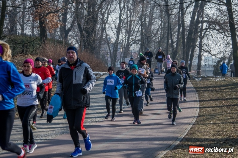 Zdjęcie w galerii na portalu naszraciborz.pl: Bieg wilczym tropem Racibórz 2018. FOTOREPORTAŻ  wiadomości z regionu