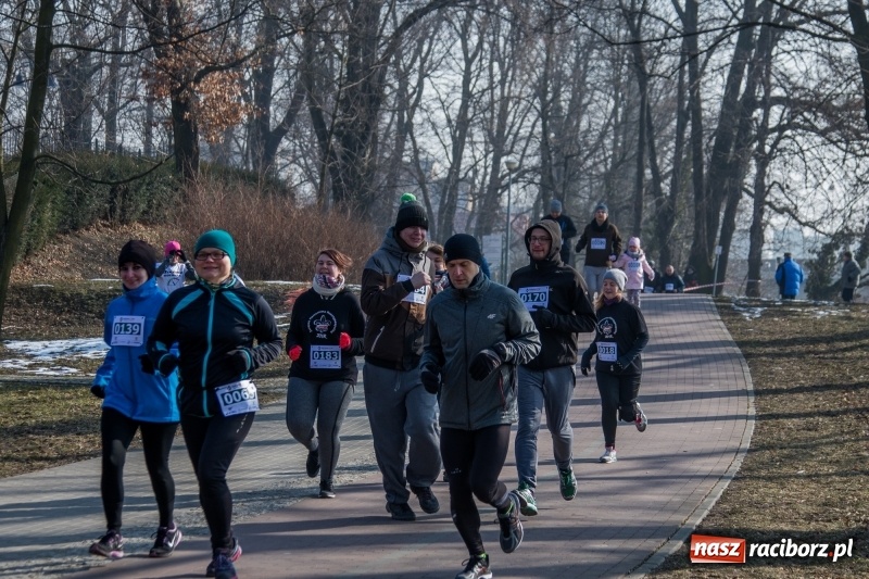 Zdjęcie w galerii na portalu naszraciborz.pl: Bieg wilczym tropem Racibórz 2018. FOTOREPORTAŻ  wiadomości z regionu