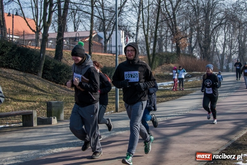 Zdjęcie w galerii na portalu naszraciborz.pl: Bieg wilczym tropem Racibórz 2018. FOTOREPORTAŻ  wiadomości z regionu