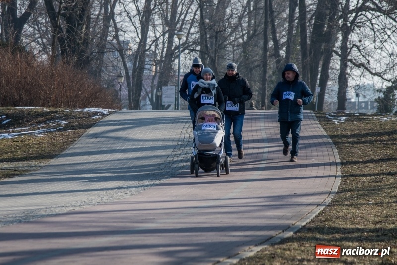 Zdjęcie w galerii na portalu naszraciborz.pl: Bieg wilczym tropem Racibórz 2018. FOTOREPORTAŻ  wiadomości z regionu