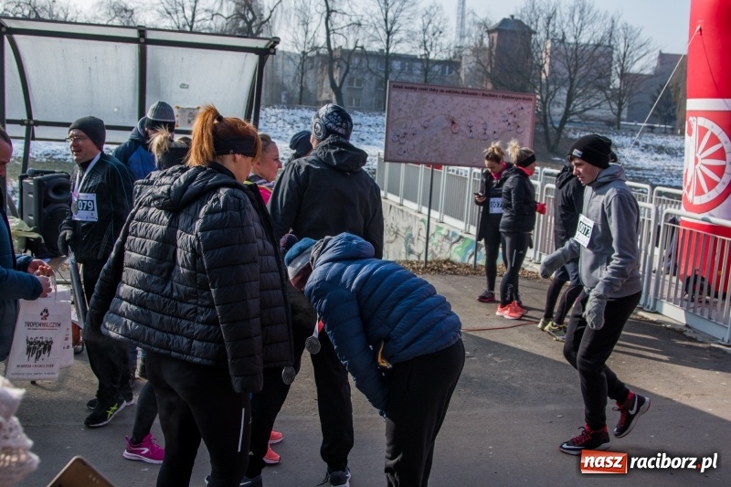 Zdjęcie w galerii na portalu naszraciborz.pl: Bieg wilczym tropem Racibórz 2018. FOTOREPORTAŻ  wiadomości z regionu