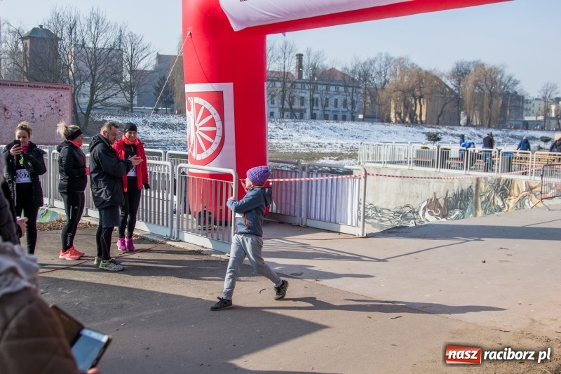 Zdjęcie w galerii na portalu naszraciborz.pl: Bieg wilczym tropem Racibórz 2018. FOTOREPORTAŻ  wiadomości z regionu