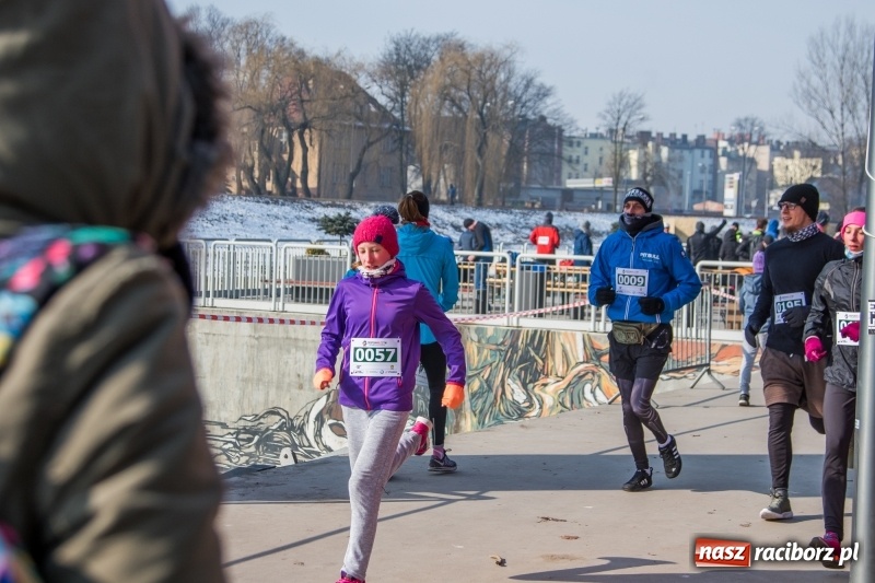 Zdjęcie w galerii na portalu naszraciborz.pl: Bieg wilczym tropem Racibórz 2018. FOTOREPORTAŻ  wiadomości z regionu