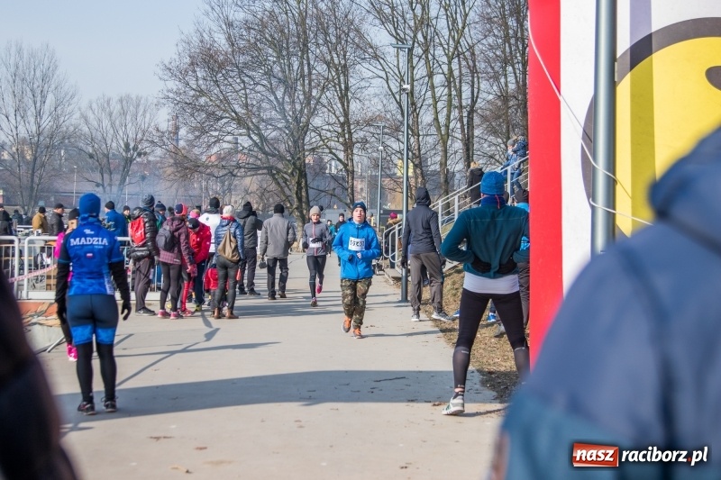 Zdjęcie w galerii na portalu naszraciborz.pl: Bieg wilczym tropem Racibórz 2018. FOTOREPORTAŻ  wiadomości z regionu