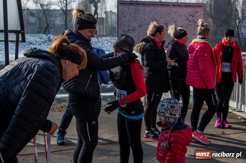 Zdjęcie w galerii na portalu naszraciborz.pl: Bieg wilczym tropem Racibórz 2018. FOTOREPORTAŻ  wiadomości z regionu