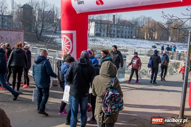 Zdjęcie w galerii na portalu naszraciborz.pl: Bieg wilczym tropem Racibórz 2018. FOTOREPORTAŻ  wiadomości z regionu