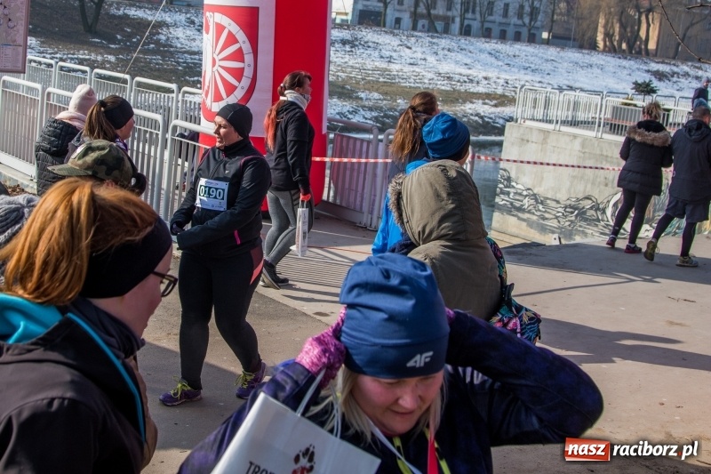 Zdjęcie w galerii na portalu naszraciborz.pl: Bieg wilczym tropem Racibórz 2018. FOTOREPORTAŻ  wiadomości z regionu