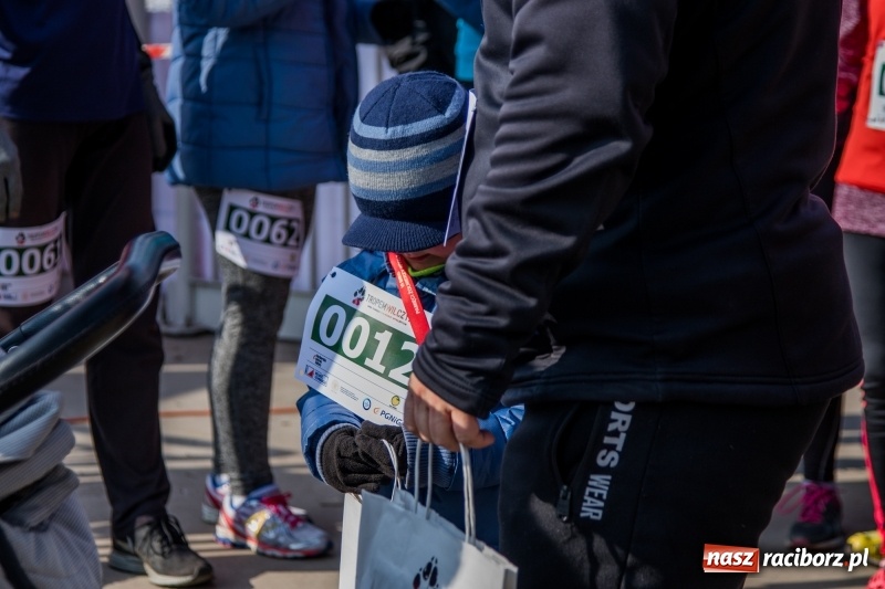 Zdjęcie w galerii na portalu naszraciborz.pl: Bieg wilczym tropem Racibórz 2018. FOTOREPORTAŻ  wiadomości z regionu