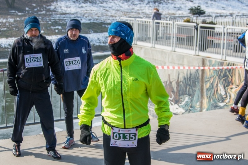 Zdjęcie w galerii na portalu naszraciborz.pl: Bieg wilczym tropem Racibórz 2018. FOTOREPORTAŻ  wiadomości z regionu